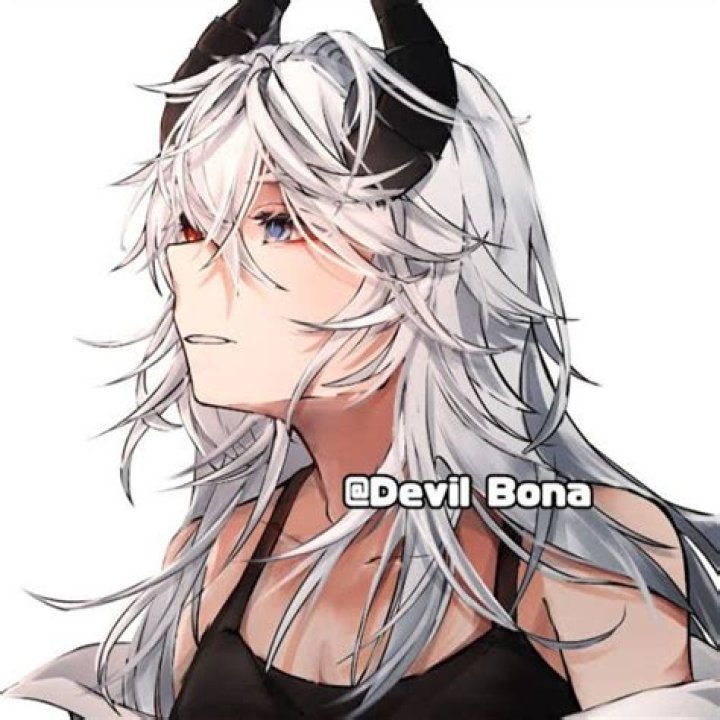 Devil Bona Phone Number, WhatsApp, Address, Email Id