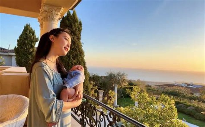 Fu Xiaotian Scandal: Son Resulted From Relationship With Qin Gang