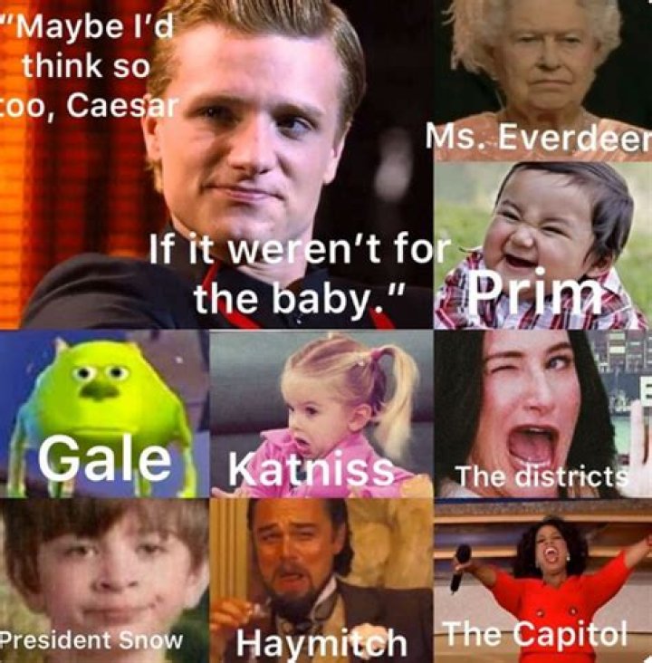 Hunger games memes for the fans to entertain