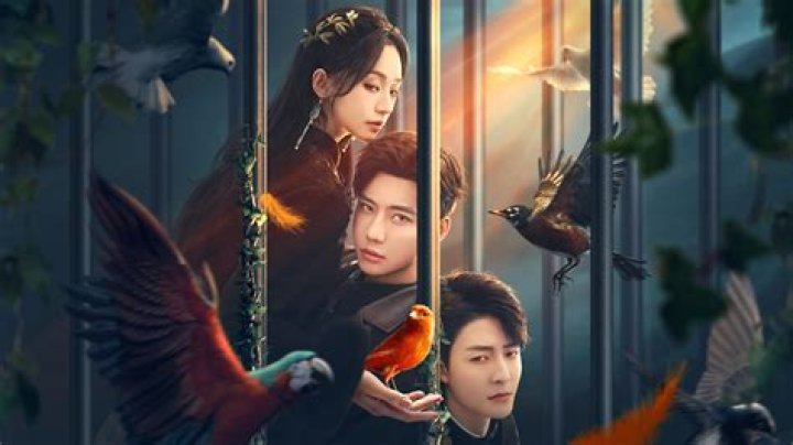 Is Kawiaq Dziewczyna Sadistic? Scandal And Film Twitter