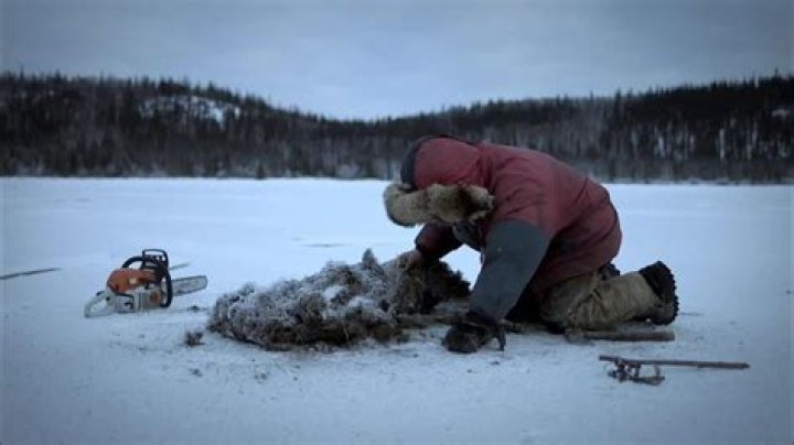 Life Belo Zero Glenn Villeneuve biography, wife, childern, age, net worth.