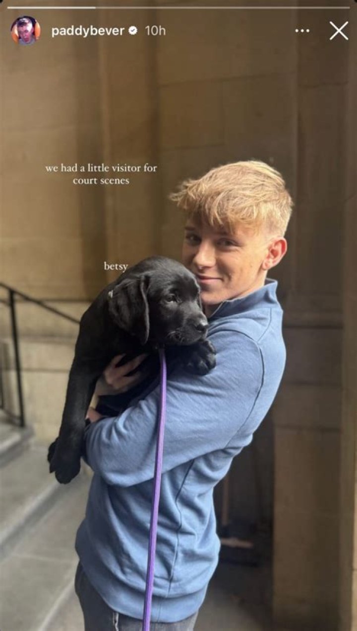 Paddy Bever Sexuality: Is He Gay? Partner 2023