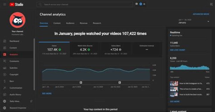 MITHIC AHMED video statistics